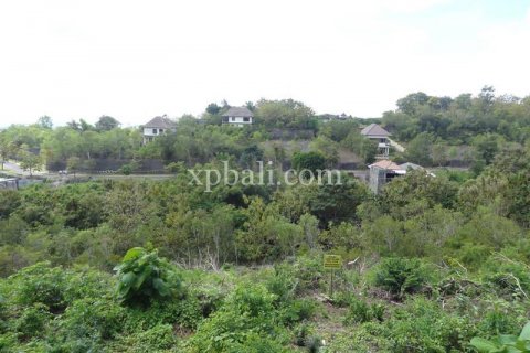 2000m2 Land in South Kuta, Badung, Bali (5952) 4