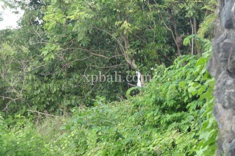 2000m2 Land in South Kuta, Badung, Bali (5952) 7