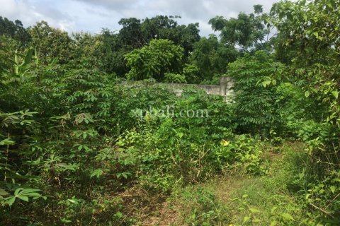 965m2 Land in South Kuta, Badung, Bali (5949) 7
