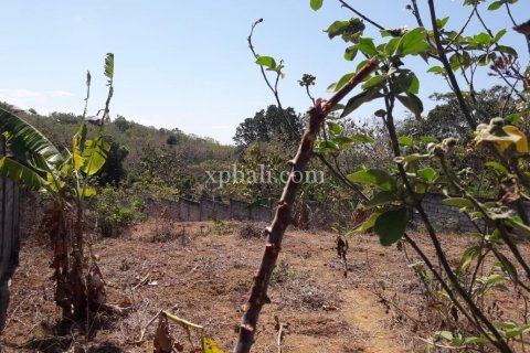 965m2 Land in South Kuta, Badung, Bali (5949) 4