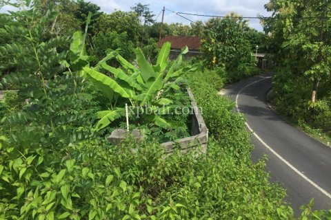 965m2 Land in South Kuta, Badung, Bali (5949) 8