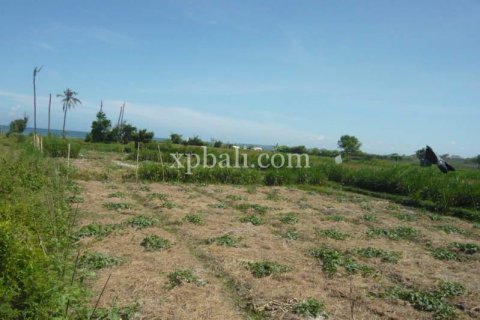 7696m2 Land in Gianyar, Bali (1021) 3