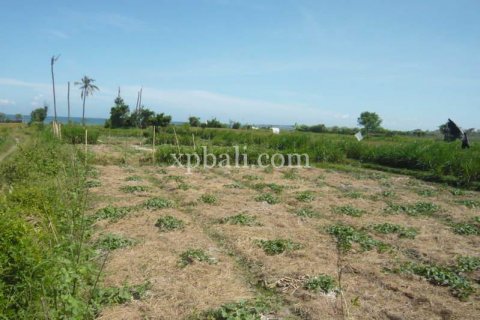 7696m2 Land in Gianyar, Bali (1021) 4