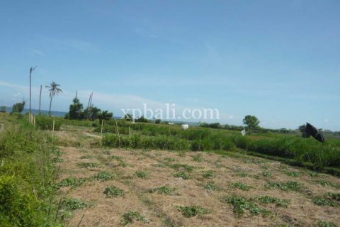 7696m2 Land in Gianyar, Bali (1021) 2