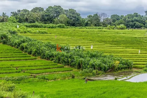 3 bedrooms Villa in Tumbak Bayuh, Mengwi, Badung, Bali (13441) 13