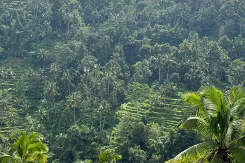 Land in Sidemen, Karang Asem, Bali (10906) 6