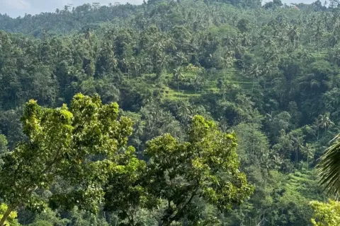 Land in Sidemen, Karang Asem, Bali (10906) 5