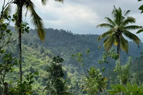 Land in Sidemen, Karang Asem, Bali (10906) 4