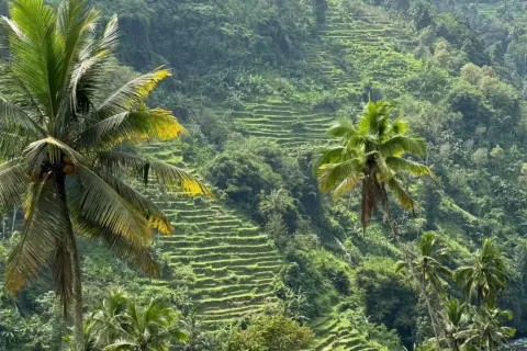 Land in Sidemen, Karang Asem, Bali (10906) 7
