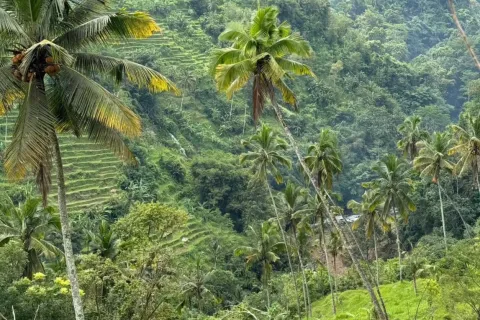 Land in Sidemen, Karang Asem, Bali (10906) 3