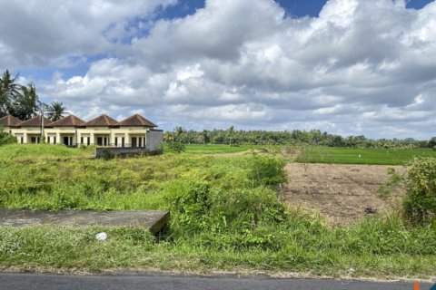 Land in Tabanan, Bali (12234) 2