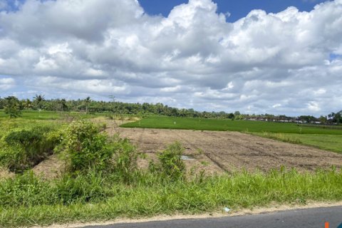Land in Tabanan, Bali (12234) 3