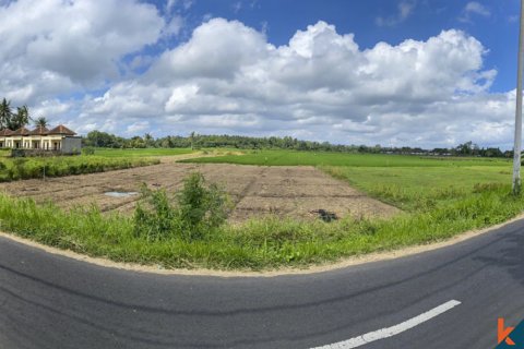 Land in Tabanan, Bali (12234) 4