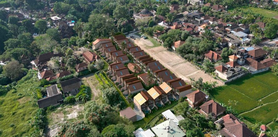 UBUD DREAM in Ubud, Gianyar, Bali (10411)