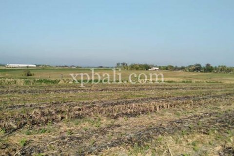 Tanah kavling 2940m2 di Tabanan, Bali (798)