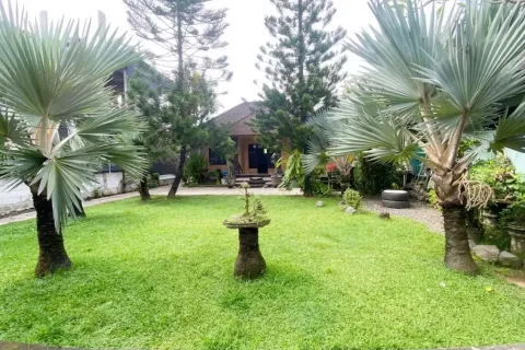 Land in Munggu, Mengwi, Badung, Bali (14077) 8