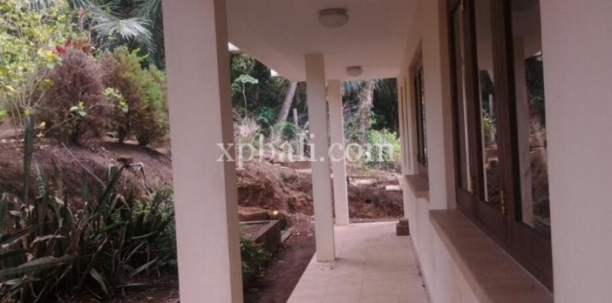 Земельный участок 2170м2 в Убуд, Гианьяр, Бали (997)