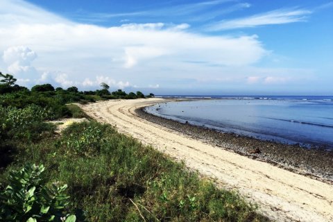 Land in Bali (12315) 2