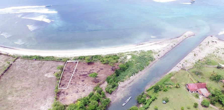 Land in Bali (12315)