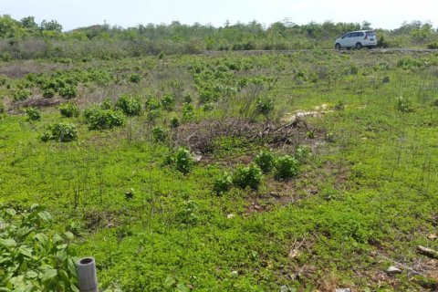 Land in Ungasan, Badung, Bali (12318) 8