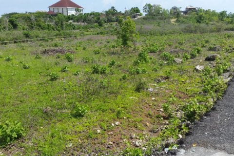 Land in Ungasan, Badung, Bali (12318) 9