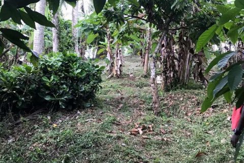 7260m2 Land in Tabanan, Bali (673) 5