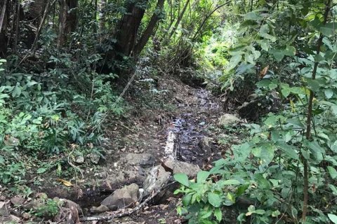 7260m2 Land in Tabanan, Bali (673) 9