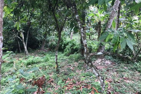 7260m2 Land in Tabanan, Bali (673) 4