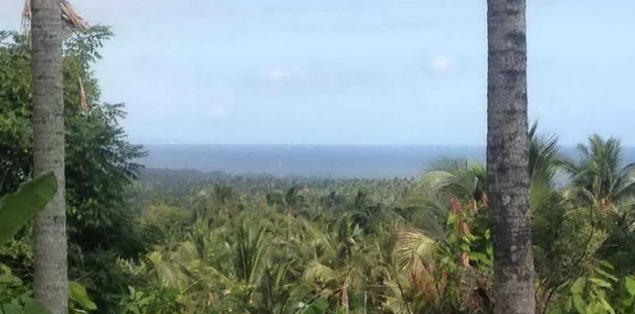 7260m2 Land in Tabanan, Bali (673)