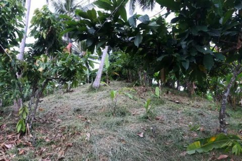 7260m2 Land in Tabanan, Bali (673) 10
