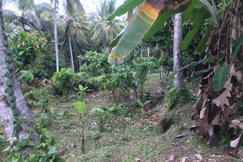 7260m2 Land in Tabanan, Bali (673) 13