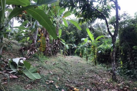 7260m2 Land in Tabanan, Bali (673) 14