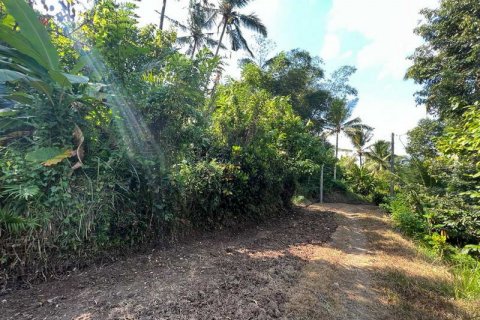 7260m2 Land in Tabanan, Bali (673) 2