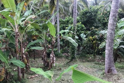 7260m2 Land in Tabanan, Bali (673) 3
