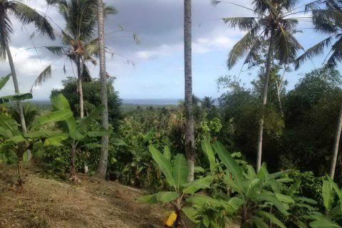 7260m2 Land in Tabanan, Bali (673) 17
