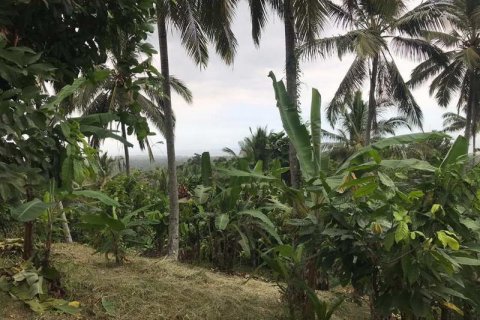 7260m2 Land in Tabanan, Bali (673) 15