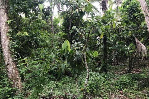 7260m2 Land in Tabanan, Bali (673) 6