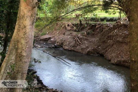 1750m2 Land in Tabanan, Bali (5421) 4