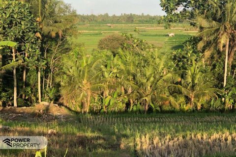 1750m2 Land in Tabanan, Bali (5421) 3