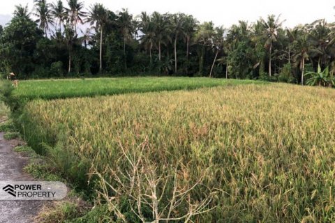 1750m2 Land in Tabanan, Bali (5421) 2