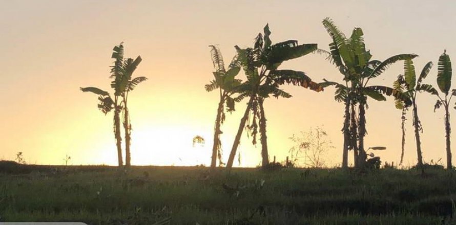 1750m2 Land in Tabanan, Bali (5421)