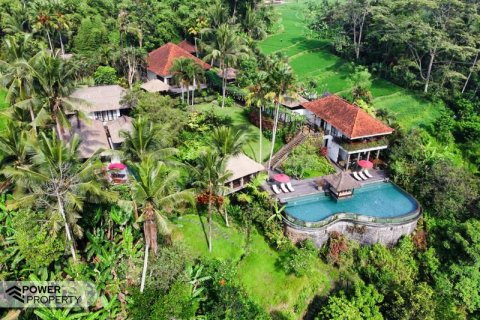 4 bedrooms Villa in Ubud, Gianyar, Bali (5423) 20