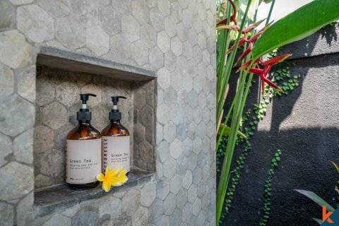 3 bedrooms Villa in Canggu, Badung, Bali (11914) 13