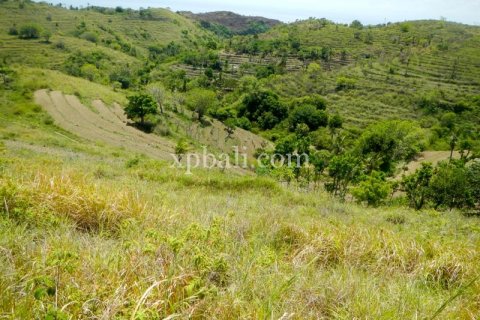 Tanah kavling 40470m2 di Nusa Penida, Klungkung, Bali (1002) 2