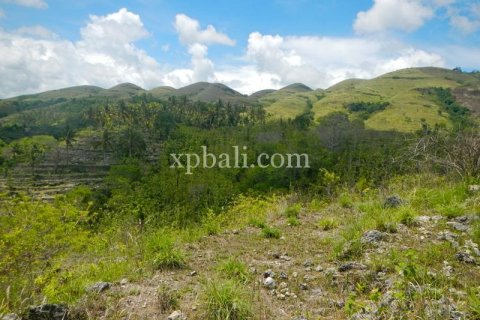 Tanah kavling 40470m2 di Nusa Penida, Klungkung, Bali (1002)