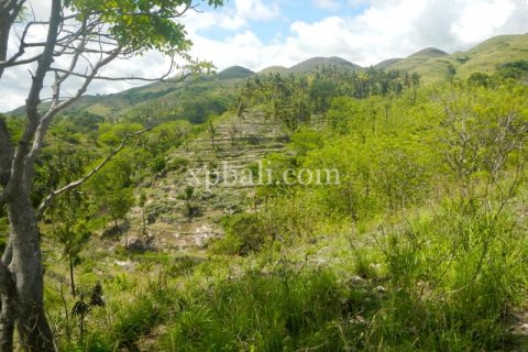 Tanah kavling 40470m2 di Nusa Penida, Klungkung, Bali (1002) 7