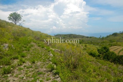 Tanah kavling 40470m2 di Nusa Penida, Klungkung, Bali (1002) 6