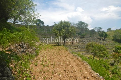 Tanah kavling 40470m2 di Nusa Penida, Klungkung, Bali (1002) 4