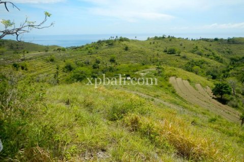 Tanah kavling 40470m2 di Nusa Penida, Klungkung, Bali (1002) 3