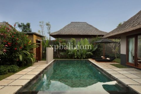 Vila 1 kamar tidur di Seminyak, Badung, Bali (1003) 5